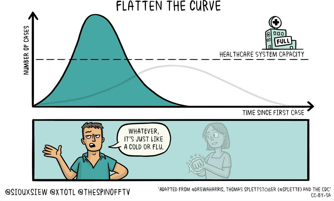 picture of one of the Flatten the curve graphics